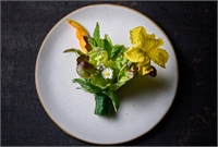 Huerto-Restaurante Biológico